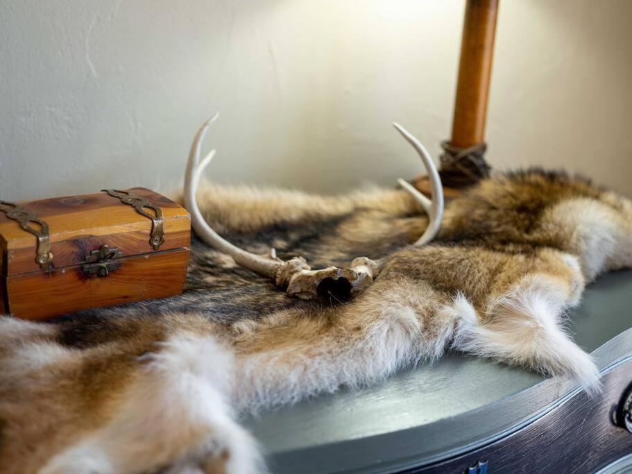 Stonegate Lodge Bear'S Den Kitchen, Pool, Firepit, Wifi ,Smart Tvs يوريكا سبرينغز المظهر الخارجي الصورة