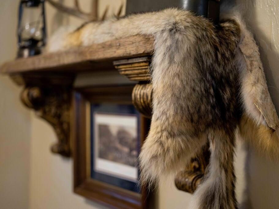 Stonegate Lodge Bear'S Den Kitchen, Pool, Firepit, Wifi ,Smart Tvs يوريكا سبرينغز المظهر الخارجي الصورة